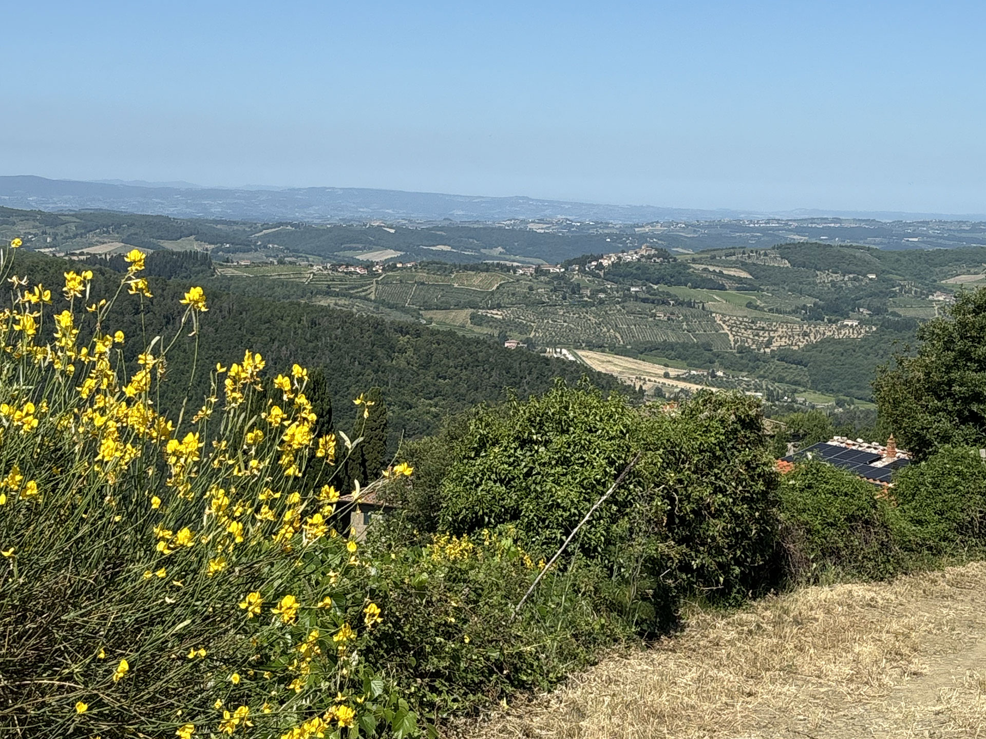 azienda-agricola-le-masse-di-lamole