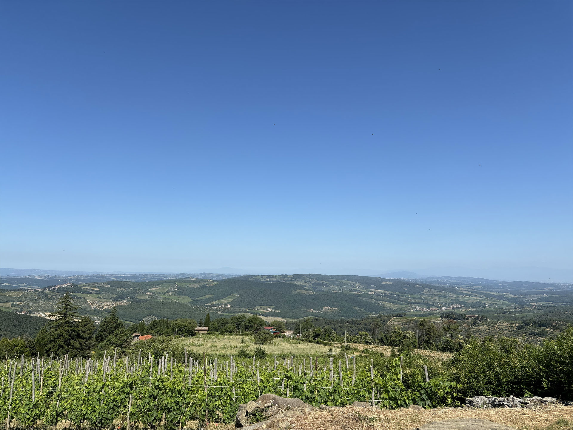 le-masse-di-lamole-chianti