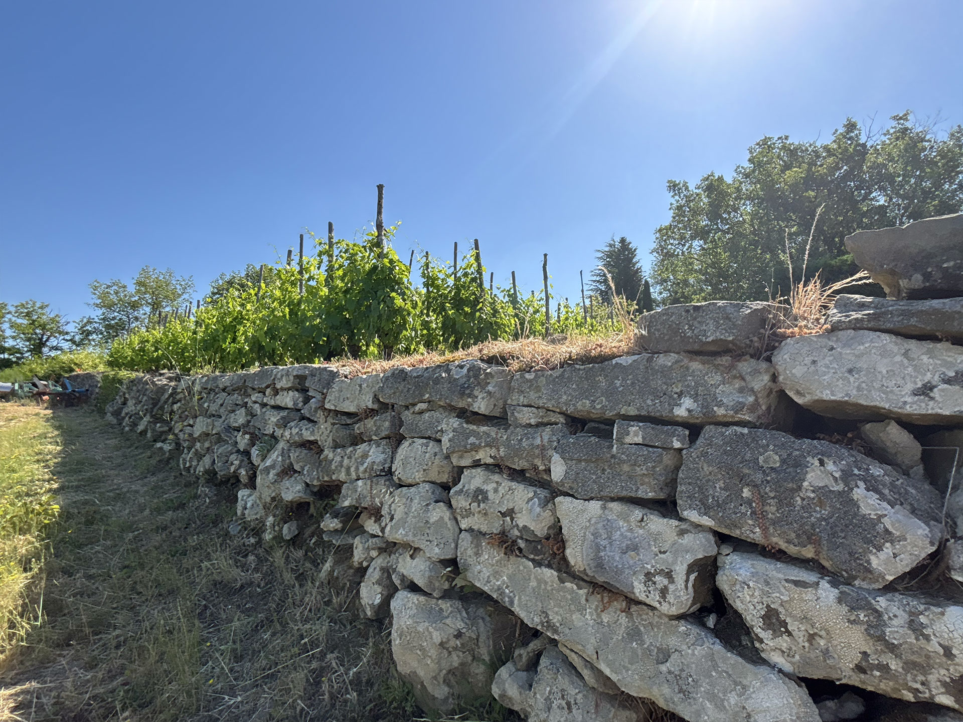 muro-a-secco-le-masse